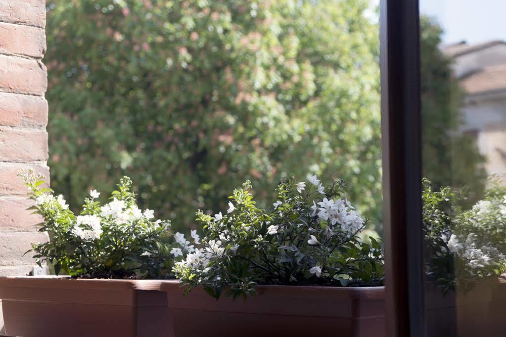 Zen Room Ferrara Bagian luar foto